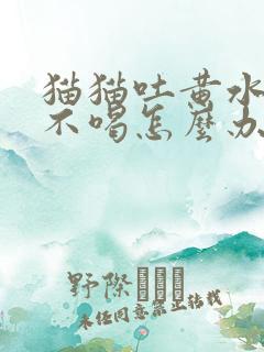 猫猫吐黄水不吃不喝怎么办