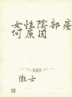 女性阴部瘙痒是何原因