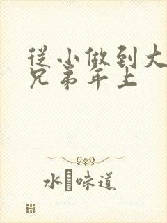 从小做到大骨科兄弟年上