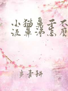 小猫鼻子不通气流鼻涕怎么办