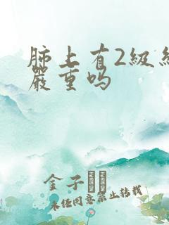 肺上有2级结节严重吗