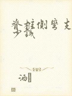 脊椎侧弯支具多少钱