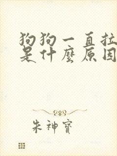 狗狗一直拉血水是什么原因