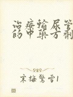 治疗输尿管结石的中药方剂