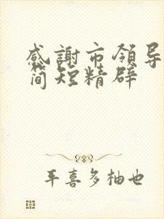 感谢市领导的话简短精辟