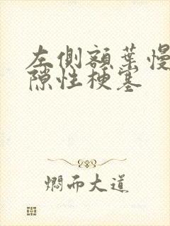 左侧额叶慢性腔隙性梗塞