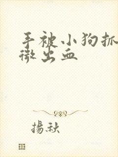 手被小狗抓伤轻微出血