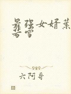 最强女婿叶凡唐若雪