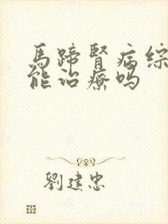 马蹄肾病综合症能治疗吗