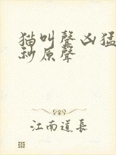 猫叫声凶猛60秒原声