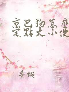 京巴狗怎么训练定点大小便