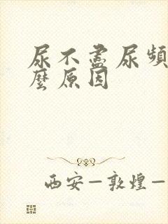 尿不尽尿频是什么原因