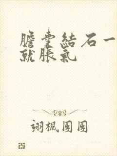 胆囊结石一吃饭就胀气