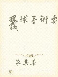 眼球手术要多少钱