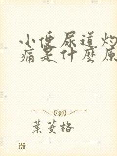 小便尿道灼热刺痛是什么原因