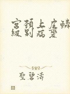 宫颈上皮鳞状高级别病变