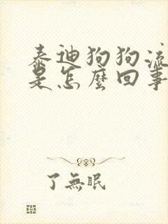 泰迪狗狗流鼻涕是怎么回事