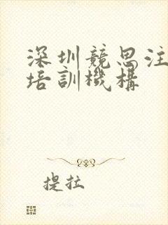 深圳竞思注意力培训机构