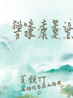 猫咪老是流眼泪有眼屎是怎么回事