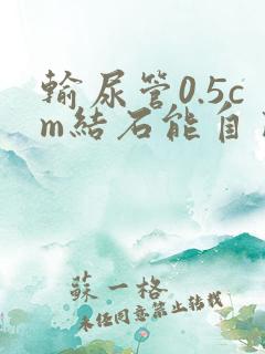 输尿管0.5cm结石能自己排出吗