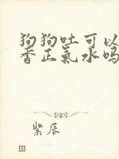 狗狗吐可以吃藿香正气水吗