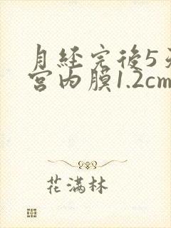 月经完后5天子宫内膜1.2cm正常吗