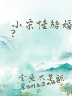 小宋佳结婚了吗?