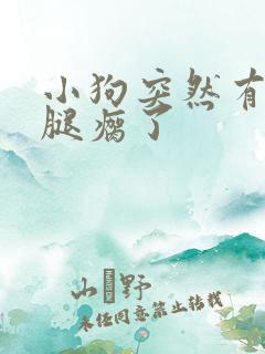 小狗突然有个后腿瘸了