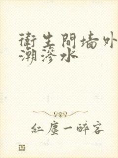 卫生间墙外面返潮渗水