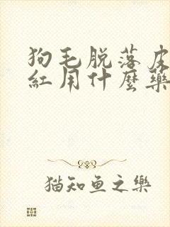 狗毛脱落皮肤发红用什么药