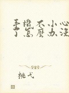 手机不小心进水了怎么办没声音了