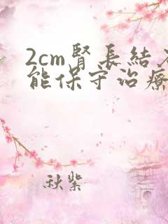 2cm肾长结石能保守治疗吗