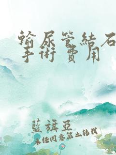 输尿管结石微创手术 费用