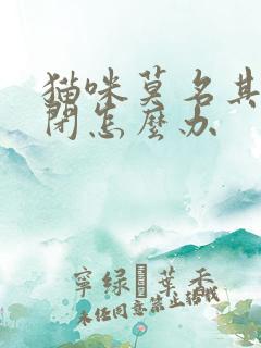 猫咪莫名其妙尿闭怎么办