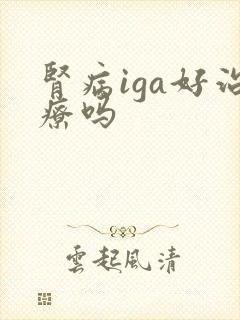 肾病iga好治疗吗