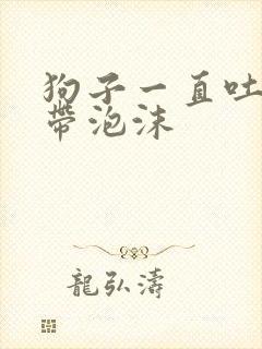 狗子一直吐黄水带泡沫