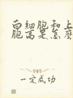 白细胞和上皮细胞高是怎么回事