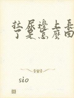 拉尿边上长痘痘了是怎么回事