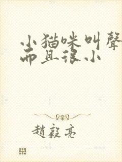 小猫咪叫声沙哑而且很小