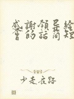 感谢领导给的机会的话简短精辟