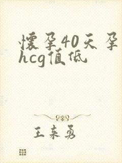 怀孕40天孕酮hcg值低