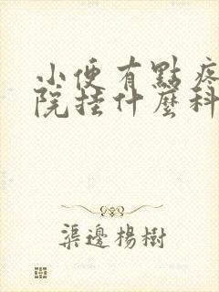 小便有点疼去医院挂什么科