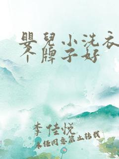 婴儿小洗衣机哪个牌子好