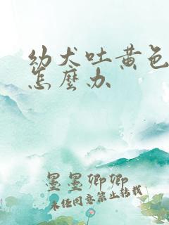 幼犬吐黄色液体怎么办