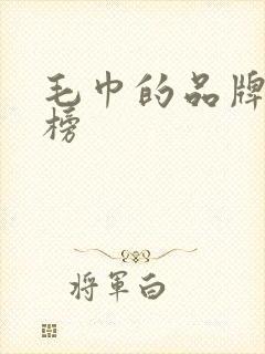 毛巾的品牌排行榜