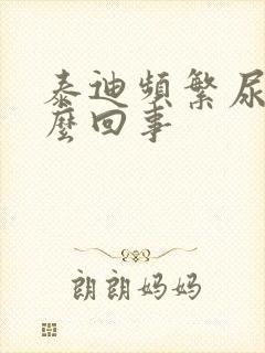 泰迪频繁尿是怎么回事