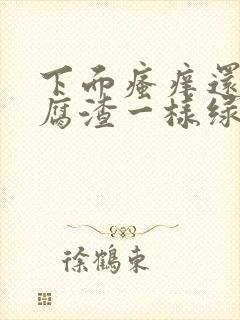 下面瘙痒还有豆腐渣一样绿色的分泌物