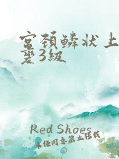 宫颈鳞状上皮病变3级