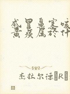 感冒鼻塞咳嗽有黄痰属于什么感冒