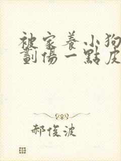 被家养小狗牙齿划伤一点皮出血有事吗